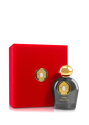 TIZIANA TERENZI HALLEY EDP 100 Ml ARC